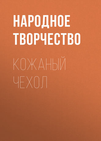 . Кожаный чехол