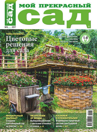 . Мой прекрасный сад №09/2017