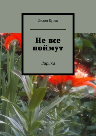. Не все поймут. Лирика