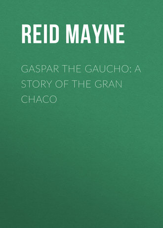 . Gaspar the Gaucho: A Story of the Gran Chaco