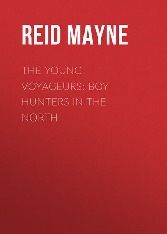 . The Young Voyageurs: Boy Hunters in the North