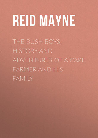 . The Bush Boys: History and Adventures of a Cape Farmer and his Family