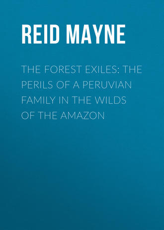 . The Forest Exiles: The Perils of a Peruvian Family in the Wilds of the Amazon