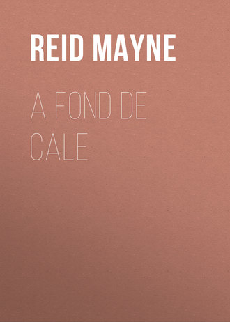 . A fond de cale