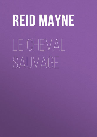 . Le cheval sauvage