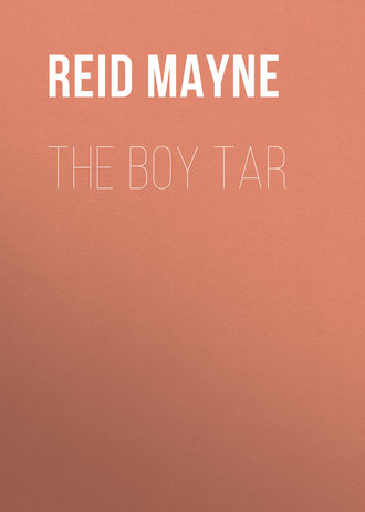 . The Boy Tar