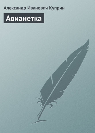 . Авианетка