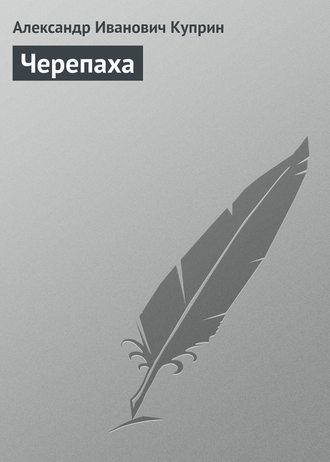 . Черепаха