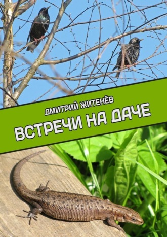 . Встречи на даче