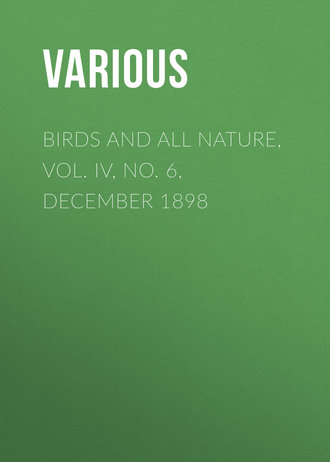 . Birds and all Nature, Vol. IV, No. 6, December 1898