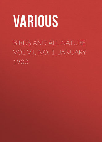. Birds and All Nature Vol VII, No. 1, January 1900