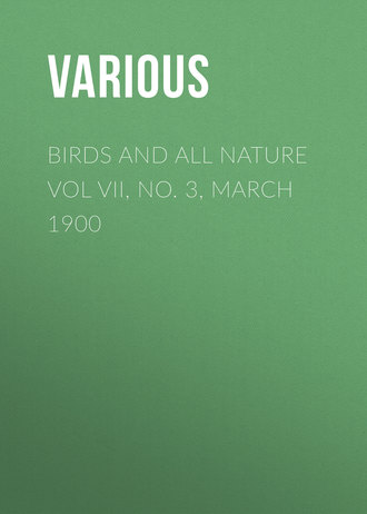 . Birds and all Nature Vol VII, No. 3, March 1900