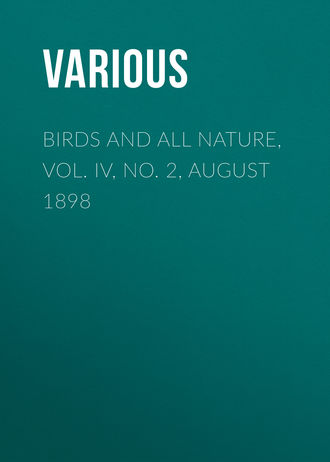 . Birds and all Nature, Vol. IV, No. 2, August 1898