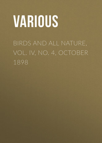 . Birds and all Nature, Vol. IV, No. 4, October 1898