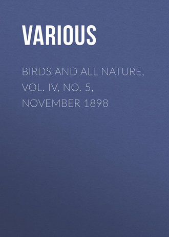 . Birds and All Nature, Vol. IV, No. 5, November 1898