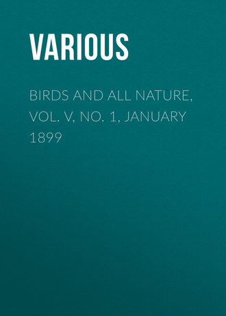 . Birds and all Nature, Vol. V, No. 1, January 1899