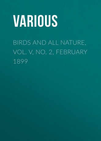 . Birds and all Nature, Vol. V, No. 2, February 1899