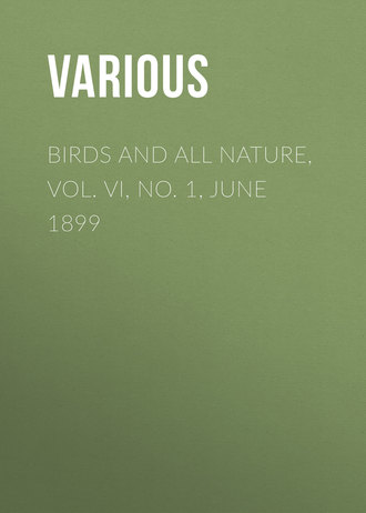 . Birds and All Nature, Vol. VI, No. 1, June 1899