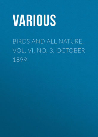 . Birds and All Nature, Vol. VI, No. 3, October 1899