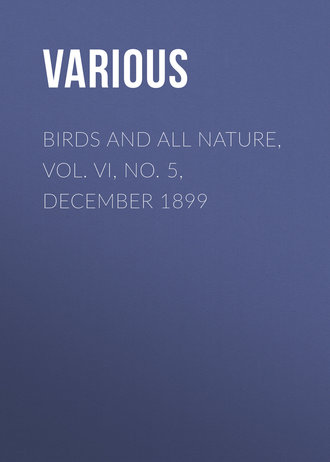 . Birds and All Nature, Vol. VI, No. 5, December 1899