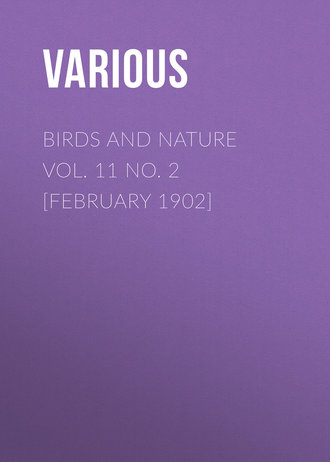 . Birds and Nature Vol. 11 No. 2 [February 1902]
