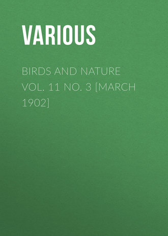 . Birds and Nature Vol. 11 No. 3 [March 1902]