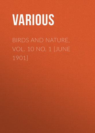 . Birds and Nature, Vol. 10 No. 1 [June 1901]