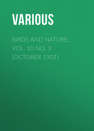 . Birds and Nature, Vol. 10 No. 3 [October 1901]