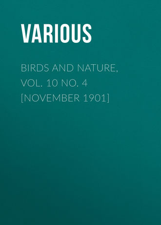 . Birds and Nature, Vol. 10 No. 4 [November 1901]