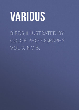 . Birds Illustrated by Color Photography Vol 3. No 5.
