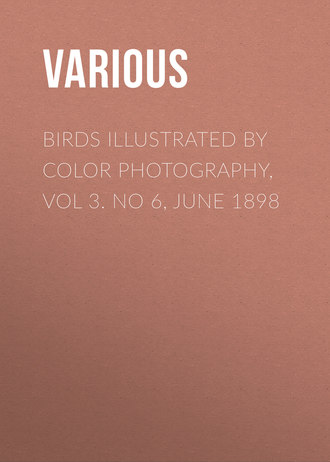. Birds Illustrated by Color Photography, Vol 3. No 6, June 1898