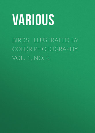 . Birds, Illustrated by Color Photography, Vol. 1, No. 2