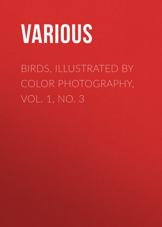 . Birds, Illustrated by Color Photography, Vol. 1, No. 3