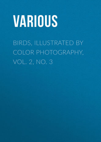 . Birds, Illustrated by Color Photography, Vol. 2, No. 3