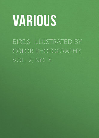 . Birds, Illustrated by Color Photography, Vol. 2, No. 5