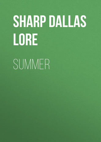 Sharp Dallas Lore. Summer
