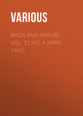 . Birds and Nature Vol. 11 No. 4 [April 1902]