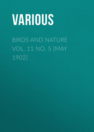 . Birds and Nature Vol. 11 No. 5 [May 1902]