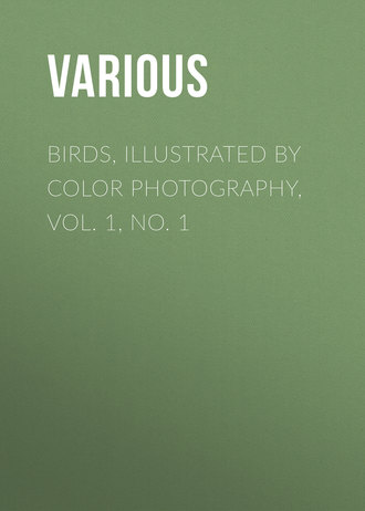 . Birds, Illustrated by Color Photography, Vol. 1, No. 1