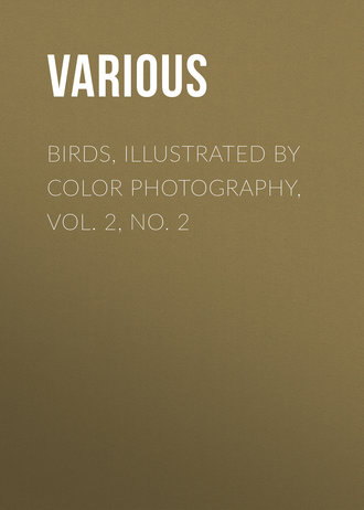 . Birds, Illustrated by Color Photography, Vol. 2, No. 2