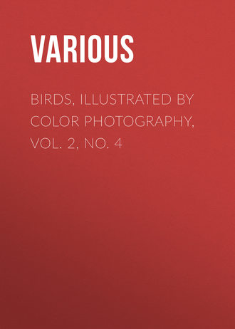 . Birds, Illustrated by Color Photography, Vol. 2, No. 4