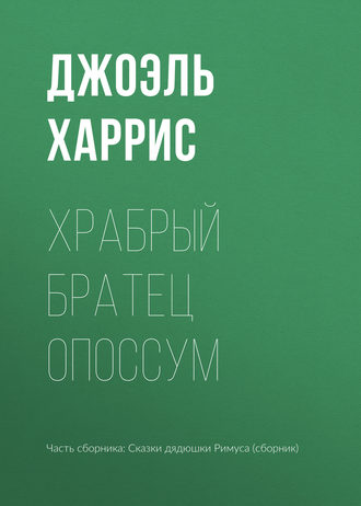 . Храбрый Братец Опоссум
