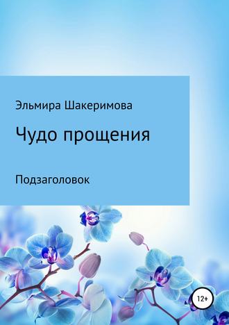 Эльмира Маратовна Шакеримова. Чудо прощения