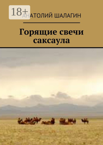 Анатолий Шалагин. Горящие свечи саксаула
