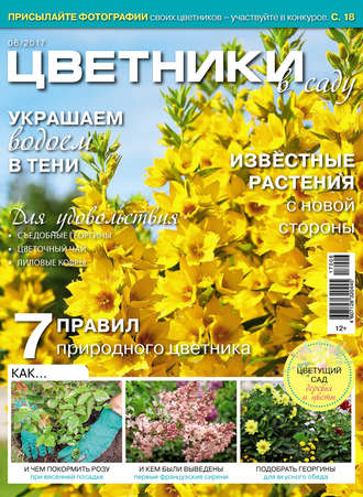 . Цветники в саду №06/2017