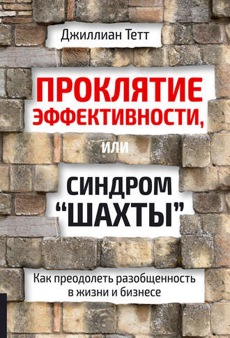 . Проклятие эффективности, или Синдром «шахты». Как преодолеть разобщенность в жизни и бизнесе