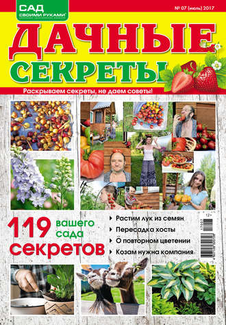 . Сад своими руками. Дачные секреты №07/2017