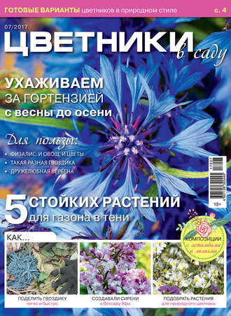 . Цветники в саду №07/2017