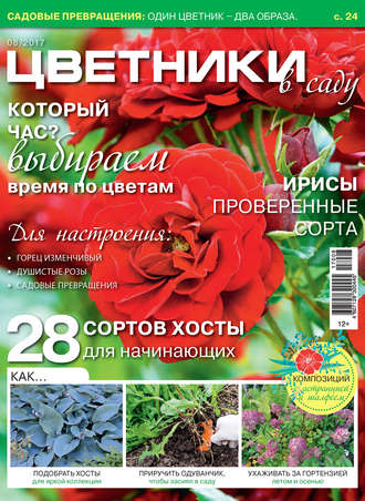 . Цветники в саду №08/2017