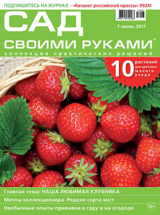 . Сад своими руками №07/2017